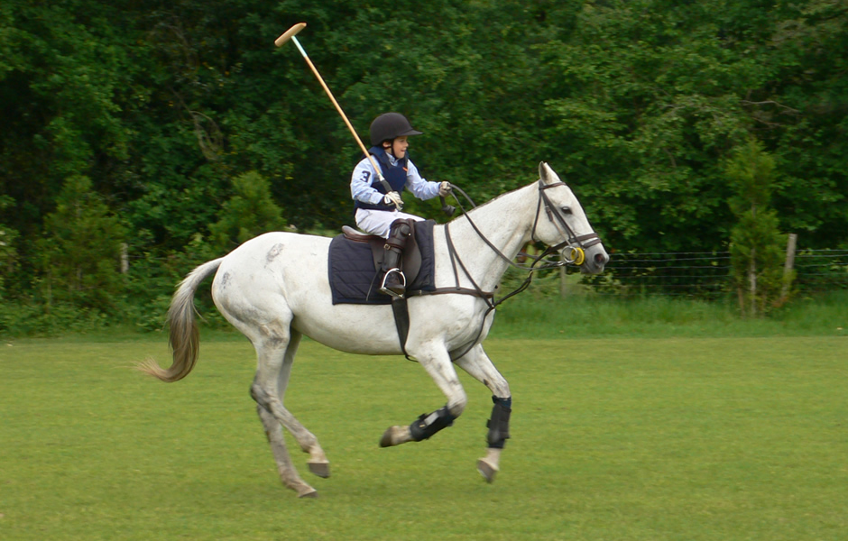 Junior Polo